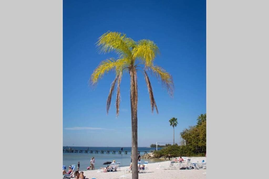 Little Harbor Resort #114 Tampa Bay Fl Beach, Bayside & 2 Pools Ruskin Buitenkant foto